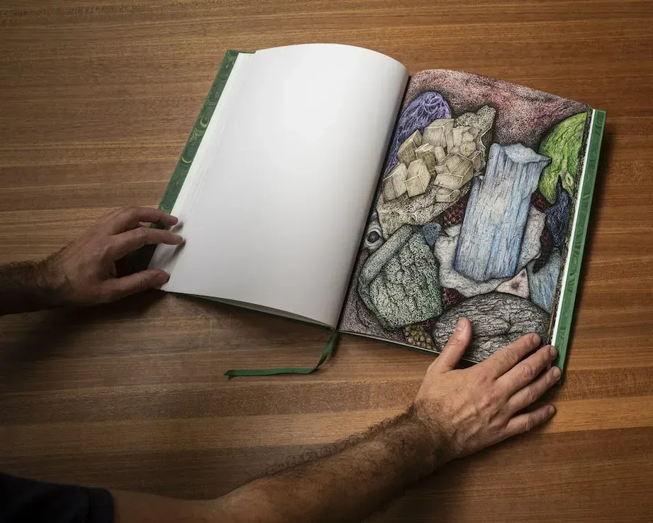 Exposição Livro Verde, de Michel Zózimo, no Instituto Ling