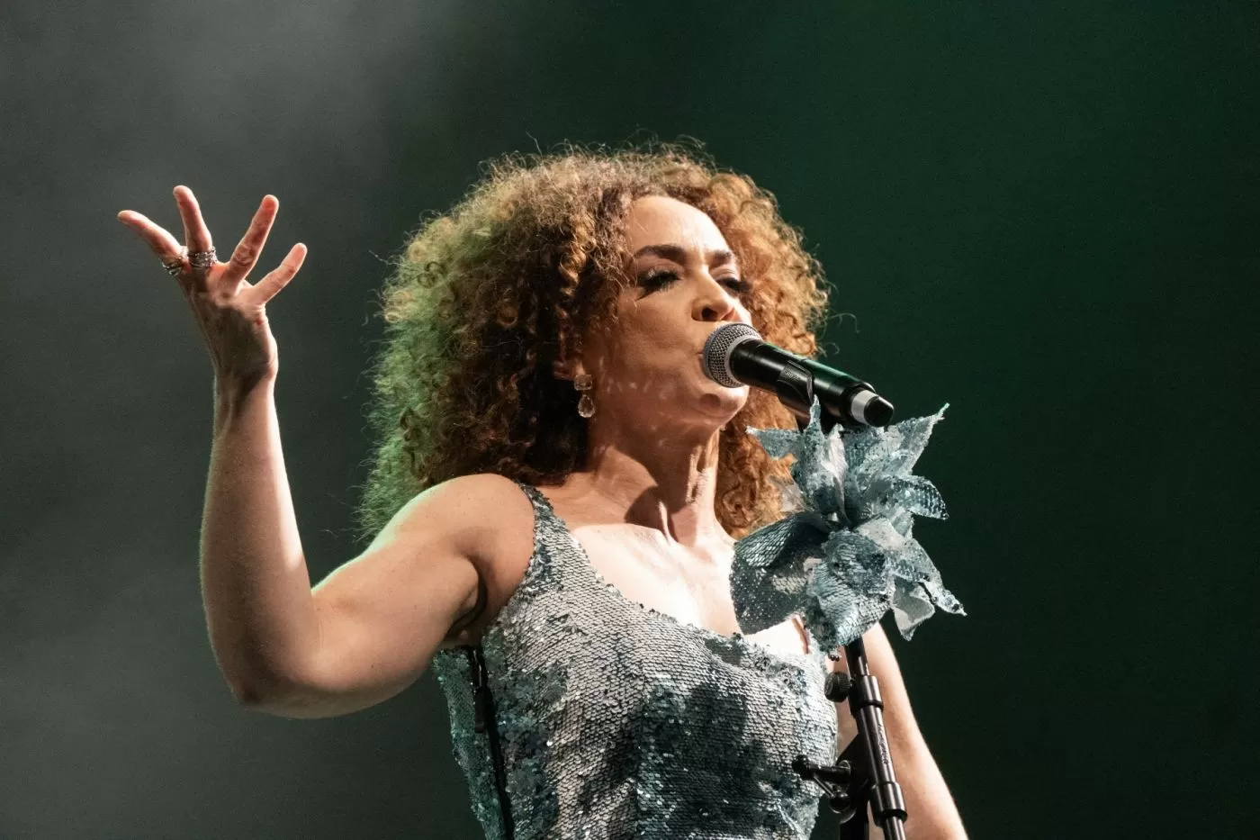 Casa de Cultura Mario Quintana em programação especial celebrando Elis Regina
